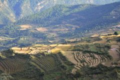 Ein fruchtbares Plateau in Bhutan