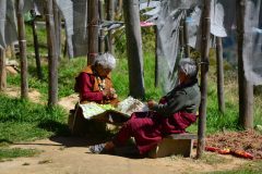 Zwei schöne alte Damen