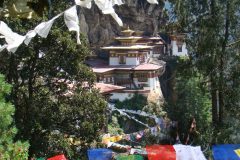 tiger_nest-scaled